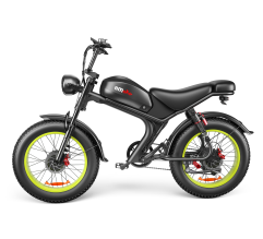 C93- Dual-drive High-speed Electric Bike (Option: C)